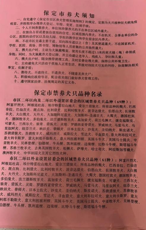 刚下的通知3月8日起执行保定市区养狗的都看看